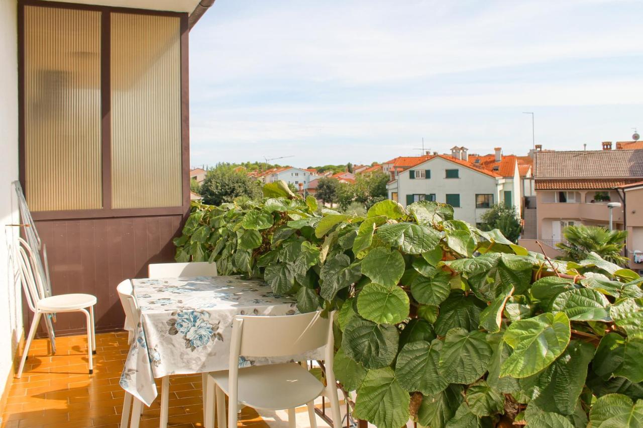 Apartments Sosic 罗维尼 外观 照片